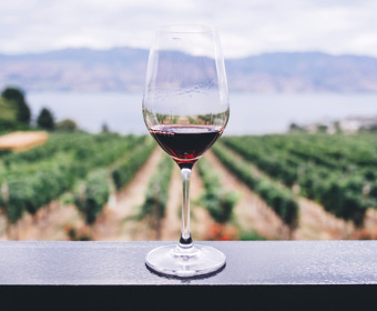 Glass of wine outdoor